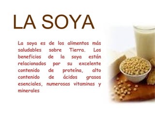 LA SOYA La soya es de los alimentos más saludables sobre Tierra. Los beneficios de la soya están relacionados por su excelente contenido de proteína, alto contenido de ácidos grasos esenciales, numerosas vitaminas y minerales  