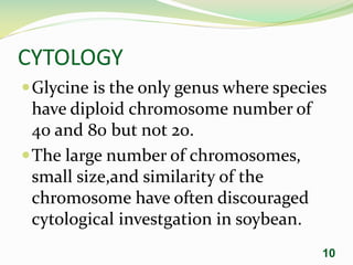 CYTOLOGY
Glycine is the only genus where species
have diploid chromosome number of
40 and 80 but not 20.
The large number of chromosomes,
small size,and similarity of the
chromosome have often discouraged
cytological investgation in soybean.
10
 