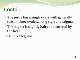 Contd…
 The pistle has a single ovary with generally
two or three ovules,a long style and stigma.
 The stigma is slightly hairy and covered by
the Keel.
 Fruit is a legume.
14
 