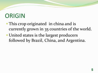 ORIGIN
 This crop originated in china and is
currently grown in 35 countries of the world.
 United states is the largest producers
followed by Brazil, China, and Argentina.
5
 