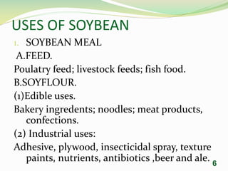 USES OF SOYBEAN
1. SOYBEAN MEAL
A.FEED.
Poulatry feed; livestock feeds; fish food.
B.SOYFLOUR.
(1)Edible uses.
Bakery ingredents; noodles; meat products,
confections.
(2) Industrial uses:
Adhesive, plywood, insecticidal spray, texture
paints, nutrients, antibiotics ,beer and ale. 6
 