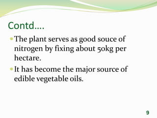 Contd….
The plant serves as good souce of
nitrogen by fixing about 50kg per
hectare.
It has become the major source of
edible vegetable oils.
9
 