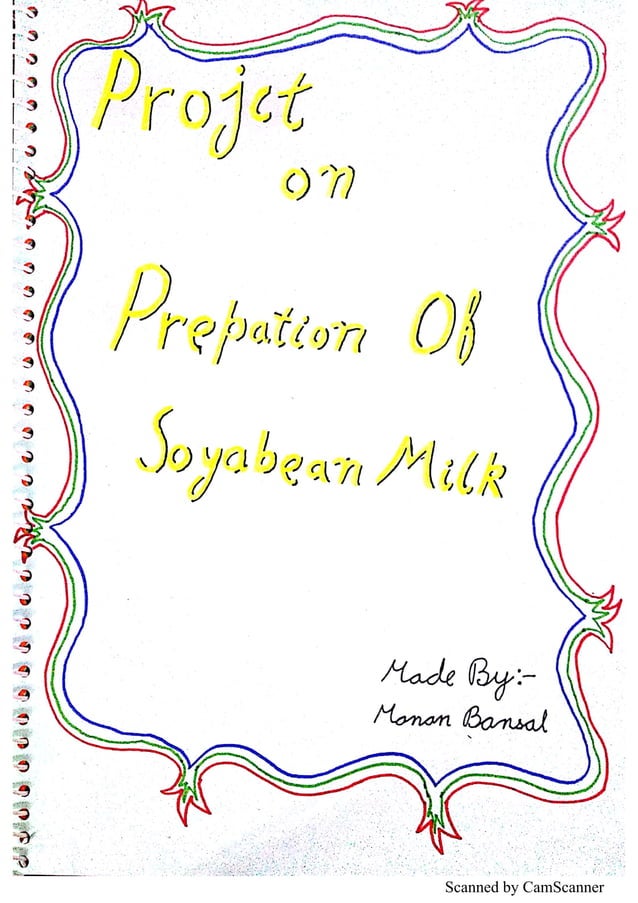 Preparation of Soyabean Milk 2 Chemistry Investigatory Project
