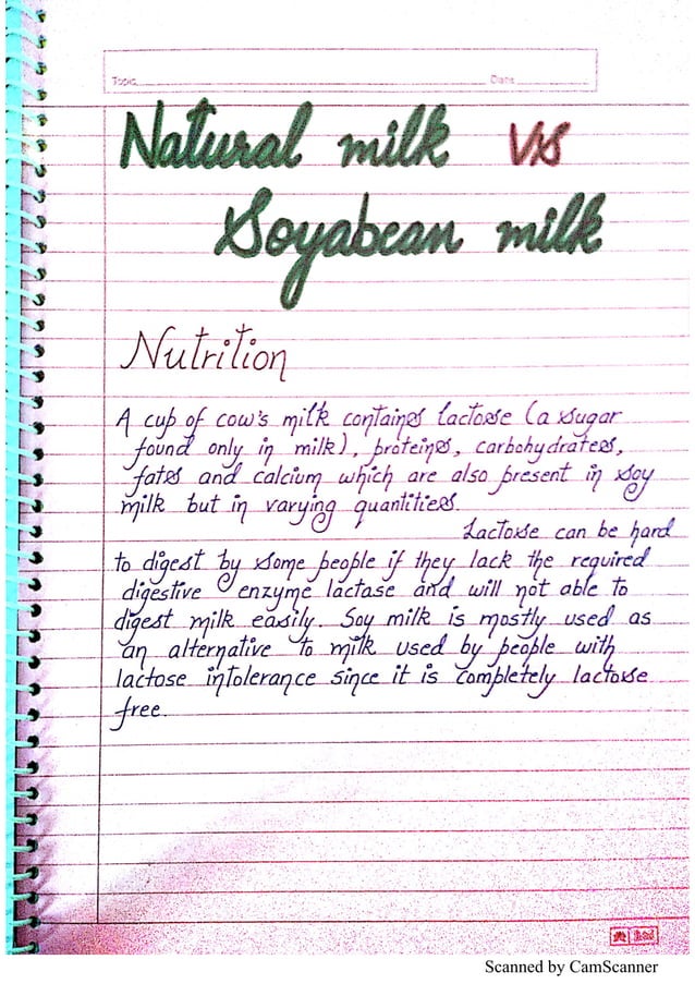 Preparation of Soyabean Milk 2 Chemistry Investigatory Project