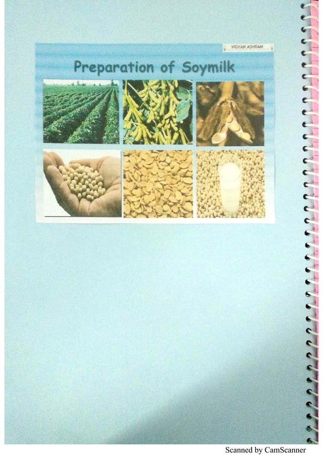 Preparation of Soyabean Milk 2 Chemistry Investigatory Project