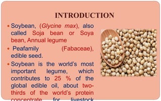 INTRODUCTION
 Soybean, (Glycine max), also
called Soja bean or Soya
bean, Annual legume
 Peafamily (Fabaceae),
edible seed.
 Soybean is the world’s most
important legume, which
contributes to 25 % of the
global edible oil, about two-
thirds of the world’s protein
 