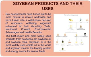 SOYBEAN PRODUCTS AND THEIR
USES
 Soy nourishments have turned out to be
more natural to devour worldwide and
have turned into a well-known decision
of numerous wellbeing cognizant
esteemed for their Versatility, Taste,
Nutritional Content, Environmental
Advantages and Health Benefits.
 The best-known and most widely used
products from soybeans are soybean oil
and soybean meal. Soybean oil is the
most widely used edible oil in the world
and soybean meal is the leading protein
and energy source for animal feeds
 