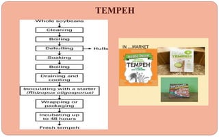 TEMPEH
 