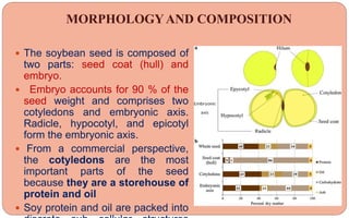MORPHOLOGYAND COMPOSITION
 The soybean seed is composed of
two parts: seed coat (hull) and
embryo.
 Embryo accounts for 90 % of the
seed weight and comprises two
cotyledons and embryonic axis.
Radicle, hypocotyl, and epicotyl
form the embryonic axis.
 From a commercial perspective,
the cotyledons are the most
important parts of the seed
because they are a storehouse of
protein and oil
 Soy protein and oil are packed into
 