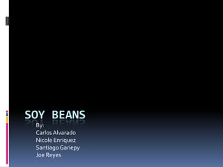 Soy Beans  By: Carlos Alvarado Nicole Enriquez Santiago Gariepy Joe Reyes 
