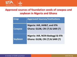 A member of CGIAR consortium www.iita.org
Approved sources of foundation seeds of cowpea and
soybean in Nigeria and Ghana
Crop Approved Sources/Institutions
Cowpea
Nigeria: IAR, IAR&T, and IITA
Ghana: GLDB, CRI (?) & SARI (?)
Soybean
Nigeria: IAR, NCRI-Badeggi & IITA
Ghana: GLDB, CRI (?) & SARI (?)
 