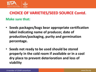 A member of CGIAR consortium www.iita.org
CHOICE OF VARIETIES/SEED SOURCE Contd.
Make sure that:
• Seeds packages/bags bear appropriate certification
label indicating name of producer, date of
production/packaging, purity and germination
percentage.
• Seeds not ready to be used should be stored
properly in the cold room if available or in a cool
dry place to prevent deterioration and loss of
viability
 