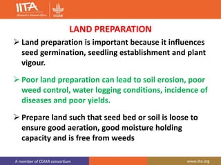 A member of CGIAR consortium www.iita.org
LAND PREPARATION
 Land preparation is important because it influences
seed germination, seedling establishment and plant
vigour.
 Poor land preparation can lead to soil erosion, poor
weed control, water logging conditions, incidence of
diseases and poor yields.
 Prepare land such that seed bed or soil is loose to
ensure good aeration, good moisture holding
capacity and is free from weeds
 