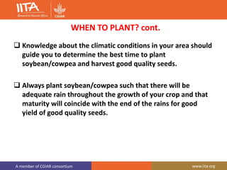 A member of CGIAR consortium www.iita.org
WHEN TO PLANT? cont.
 Knowledge about the climatic conditions in your area should
guide you to determine the best time to plant
soybean/cowpea and harvest good quality seeds.
 Always plant soybean/cowpea such that there will be
adequate rain throughout the growth of your crop and that
maturity will coincide with the end of the rains for good
yield of good quality seeds.
 