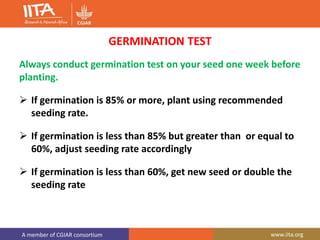 A member of CGIAR consortium www.iita.org
GERMINATION TEST
Always conduct germination test on your seed one week before
planting.
 If germination is 85% or more, plant using recommended
seeding rate.
 If germination is less than 85% but greater than or equal to
60%, adjust seeding rate accordingly
 If germination is less than 60%, get new seed or double the
seeding rate
 