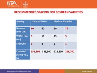 A member of CGIAR consortium www.iita.org
RECOMMENDED SPACING FOR SOYBEAN VARIETIES
Spacing Early Varieties Medium Varieties
Between
rows (cm)
60 60 60 75
Within row
(cm)
5 10 15 5
Seeds/hill 1 2 2 1
Expected
plant pop. /
ha
333,300 333,300 222,200 266,700
 