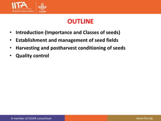 A member of CGIAR consortium www.iita.org
OUTLINE
• Introduction (Importance and Classes of seeds)
• Establishment and management of seed fields
• Harvesting and postharvest conditioning of seeds
• Quality control
 