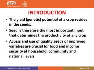 A member of CGIAR consortium www.iita.org
INTRODUCTION
• The yield (genetic) potential of a crop resides
in the seeds.
• Seed is therefore the most important input
that determines the productivity of any crop
• Access and use of quality seeds of improved
varieties are crucial for food and income
security at household, community and
national levels.
 