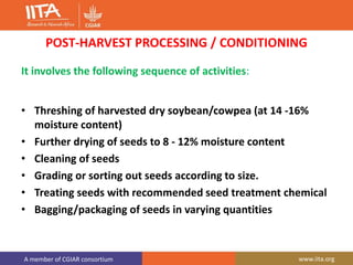 A member of CGIAR consortium www.iita.org
POST-HARVEST PROCESSING / CONDITIONING
It involves the following sequence of activities:
• Threshing of harvested dry soybean/cowpea (at 14 -16%
moisture content)
• Further drying of seeds to 8 - 12% moisture content
• Cleaning of seeds
• Grading or sorting out seeds according to size.
• Treating seeds with recommended seed treatment chemical
• Bagging/packaging of seeds in varying quantities
 