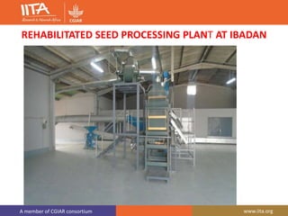 A member of CGIAR consortium www.iita.org
REHABILITATED SEED PROCESSING PLANT AT IBADAN
 