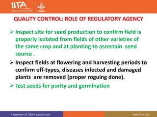 A member of CGIAR consortium www.iita.org
QUALITY CONTROL: ROLE OF REGULATORY AGENCY
 Inspect site for seed production to confirm field is
properly isolated from fields of other varieties of
the same crop and at planting to ascertain seed
source .
 Inspect fields at flowering and harvesting periods to
confirm off-types, diseases infected and damaged
plants are removed (proper roguing done).
 Test seeds for purity and germination
 