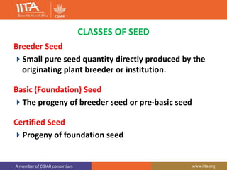 A member of CGIAR consortium www.iita.org
CLASSES OF SEED
Breeder Seed
Small pure seed quantity directly produced by the
originating plant breeder or institution.
Basic (Foundation) Seed
The progeny of breeder seed or pre-basic seed
Certified Seed
Progeny of foundation seed
 
