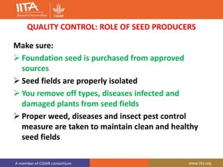 A member of CGIAR consortium www.iita.org
QUALITY CONTROL: ROLE OF SEED PRODUCERS
Make sure:
 Foundation seed is purchased from approved
sources
 Seed fields are properly isolated
 You remove off types, diseases infected and
damaged plants from seed fields
 Proper weed, diseases and insect pest control
measure are taken to maintain clean and healthy
seed fields
 