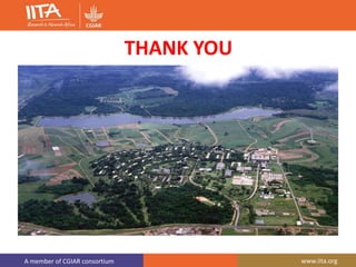 A member of CGIAR consortium www.iita.org
THANK YOU
 