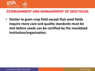 A member of CGIAR consortium www.iita.org
ESTABLISHMENT AND MANAGEMENT OF SEED FIELDS
• Similar to grain crop field except that seed fields
require more care and quality standards must be
met before seeds can be certified by the mandated
institution/organization.
 