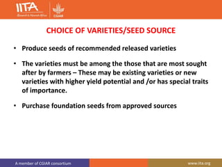 A member of CGIAR consortium www.iita.org
CHOICE OF VARIETIES/SEED SOURCE
• Produce seeds of recommended released varieties
• The varieties must be among the those that are most sought
after by farmers – These may be existing varieties or new
varieties with higher yield potential and /or has special traits
of importance.
• Purchase foundation seeds from approved sources
 