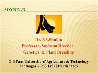 SOYBEAN
Dr. P.S.Shukla
Professor /Soybean Breeder
Genetics & Plant Breeding
G B Pant University of Agriculture & Technology
Pantnagar – 263 145 (Uttarakhand)
 
