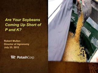 Are Your Soybeans
Coming Up Short of
P and K?

Robert Mullen
Director of Agronomy
July 25, 2012




          PotashCorp.com
 