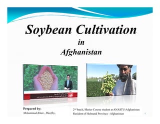 Soybean Cultivation
in
Afghanistan
Prepared by:
Mohammad Khan ,,Wasifhy,, 1
2nd batch, Master Course student at ANASTU-Afghanistan
Resident of Helmand Province –Afghanistan
 