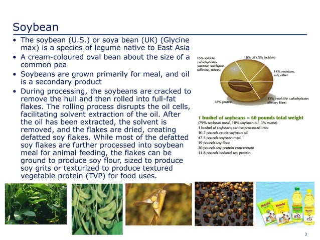 soybean-industry-in-india-ppt