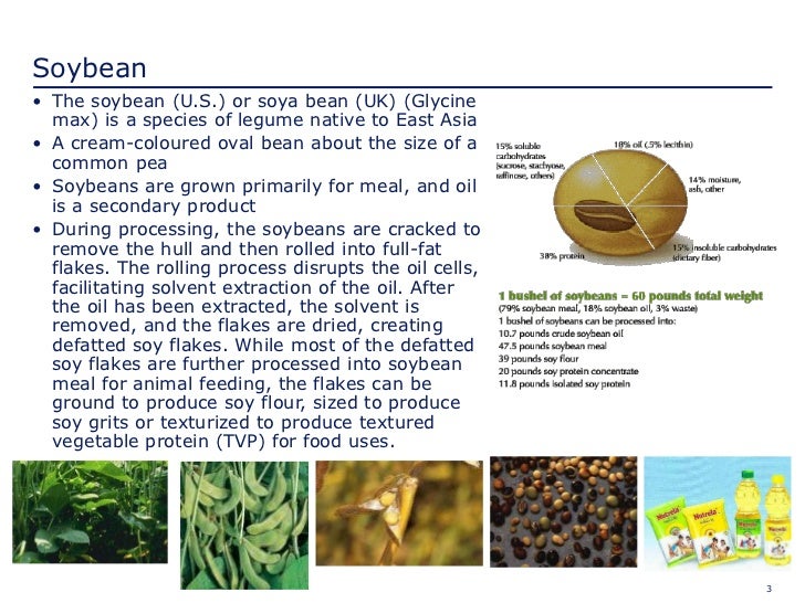 Soybean Industry In India.Ppt