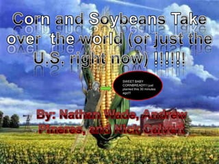 Corn and Soybeans Take over  the world (or just the U.S. right now) !!!!!!  SWEET BABY CORNBREAD!!! I just planted this 30 minutes ago!!! By: Nathan Wade, Andrew Pineres, and Nick Calvert  