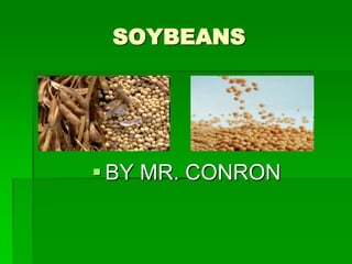 SOYBEANS




 BY MR. CONRON
 
