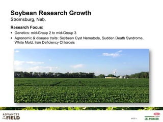 Soybean Research Growth
Stromsburg, Neb.
Research Focus:
 Genetics: mid-Group 2 to mid-Group 3
 Agronomic & disease traits: Soybean Cyst Nematode, Sudden Death Syndrome,
White Mold, Iron Deficiency Chlorosis

AYT-1

 