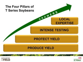 The Four Pillars of
T Series Soybeans
LOCAL
EXPERTISE
INTENSE TESTING
PROTECT YIELD
PRODUCE YIELD

 