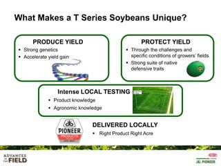 What Makes a T Series Soybeans Unique?
PRODUCE YIELD

PROTECT YIELD

 Strong genetics
 Accelerate yield gain

 Through the challenges and
specific conditions of growers’ fields
 Strong suite of native
defensive traits

Intense LOCAL TESTING
 Product knowledge
 Agronomic knowledge

DELIVERED LOCALLY
 Right Product Right Acre

 