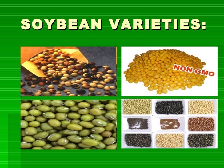 Soybeans[1]