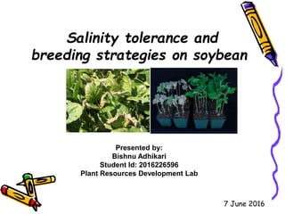 Salinity tolerance and
breeding strategies on soybean
Presented by:
Bishnu Adhikari
Student Id: 2016226596
Plant Resources Development Lab
7 June 2016
 