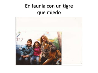 En faunia con un tigre
     que miedo
 