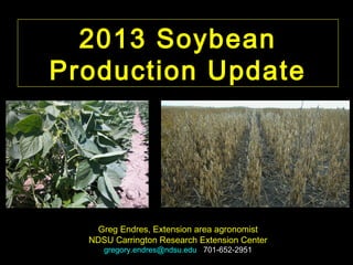 2013 Soybean
Production Update

Greg Endres, Extension area agronomist
NDSU Carrington Research Extension Center
gregory.endres@ndsu.edu 701-652-2951

 