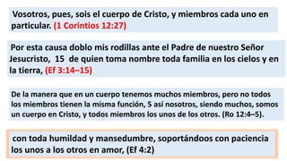 Vosotros, pues, sois el cuerpo de Cristo, y miembros cada uno en
particular. (1 Corintios 12:27)
Por esta causa doblo mis rodillas ante el Padre de nuestro Señor
Jesucristo, 15 de quien toma nombre toda familia en los cielos y en
la tierra, (Ef 3:14–15)
De la manera que en un cuerpo tenemos muchos miembros, pero no todos
los miembros tienen la misma función, 5 así nosotros, siendo muchos, somos
un cuerpo en Cristo, y todos miembros los unos de los otros. (Ro 12:4–5).
con toda humildad y mansedumbre, soportándoos con paciencia
los unos a los otros en amor, (Ef 4:2)
 