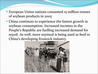 European Union nations consumed 15 million tonnes of soybean products in 2005 China continues to experience the fastest growth in soybean consumption. Increased incomes in the People’s Republic are fuelling increased demand for soyoil. As well, more soymeal is being used as feed in China’s developing livestock industry. 