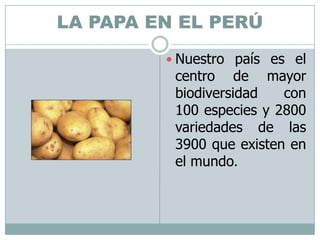 LA PAPA EN EL PERÚNuestro país es el centro de mayor biodiversidad con 100 especies y 2800 variedades de las 3900 que existen en el mundo.