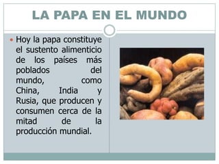 LA PAPA EN EL MUNDOHoy la papa constituye el sustento alimenticio de los países más poblados del mundo, como China, India y Rusia, que producen y consumen cerca de la mitad de la producción mundial.