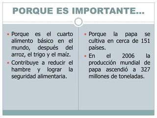 PORQUE ES IMPORTANTE…Porque es el cuarto alimento básico en el mundo, después del arroz, el trigo y el maíz.Contribuye a reducir el hambre y lograr la seguridad alimentaria.Porque la papa se cultiva en cerca de 151 países.En el 2006 la producción mundial de papa ascendió a 327 millones de toneladas.