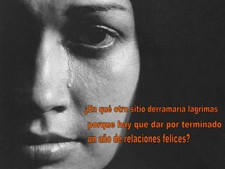 ¿En qué otro sitio derramaría lágrimas porque hay que dar por terminado un año de relaciones felices? 